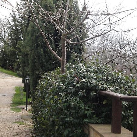 Agriturismo Le Valli Acuto Exterior foto
