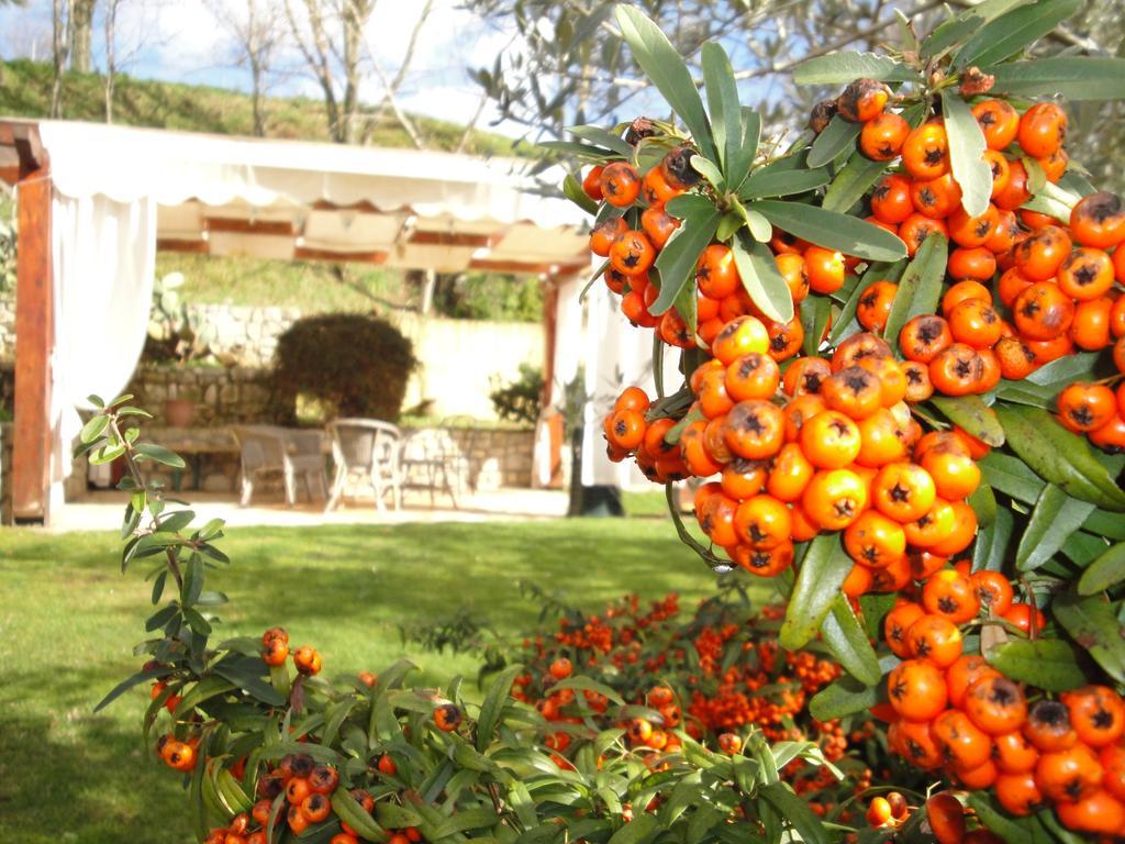 Agriturismo Le Valli Acuto Exterior foto